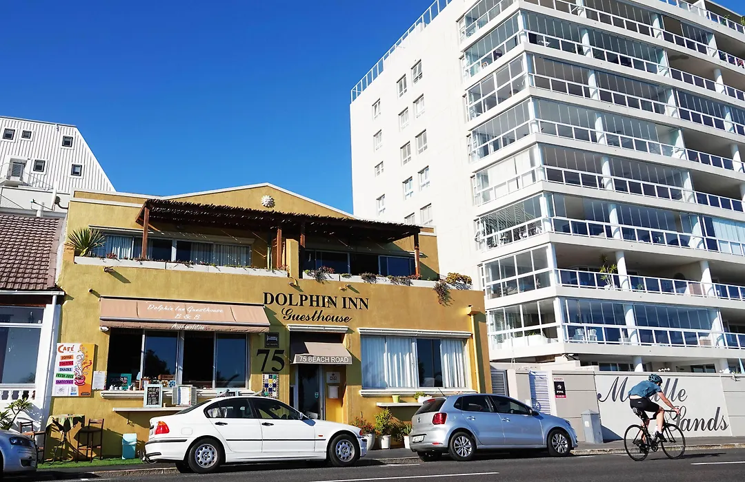 Dolphin Inn Guesthouse-1